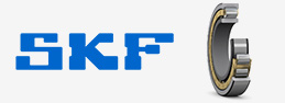 瑞典SKF轴承